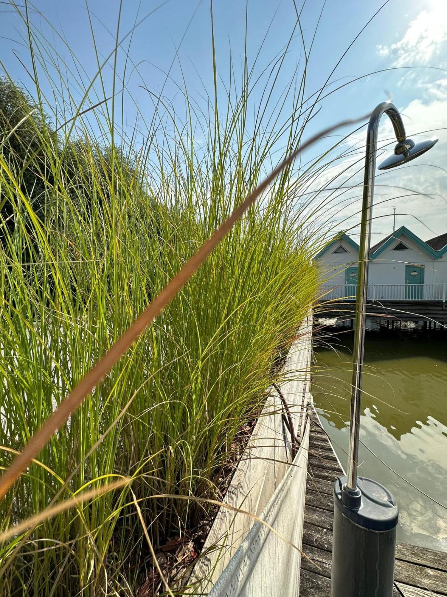 Haus Am See Neusiedl am See Exterior foto